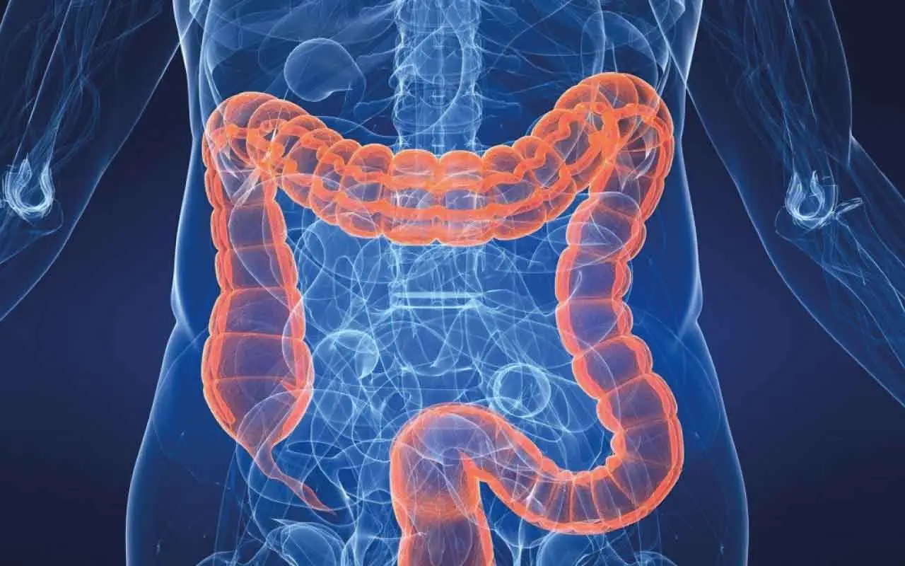 Il parassita intestinale che puoi prendere mangiando questo cibo comune: ecco come prevenirlo